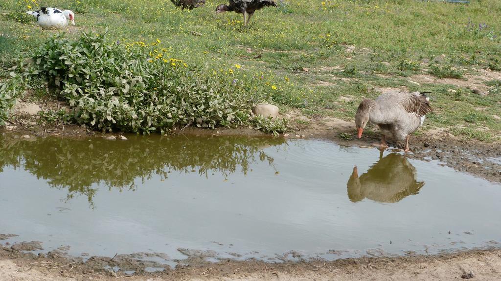 Willa Quinta Entre Rios Mirandela Zewnętrze zdjęcie